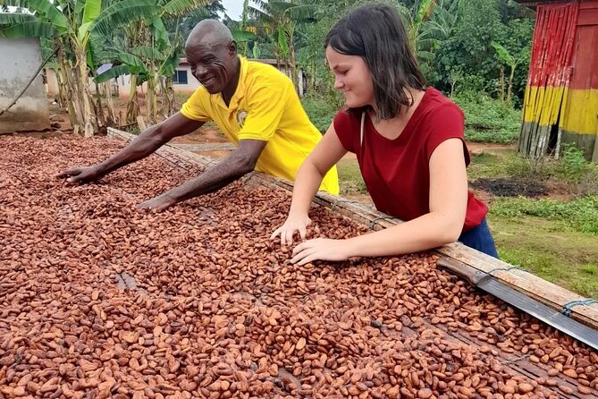 1 Day cocoa farm tour - Is $349.94 per person a fair price?