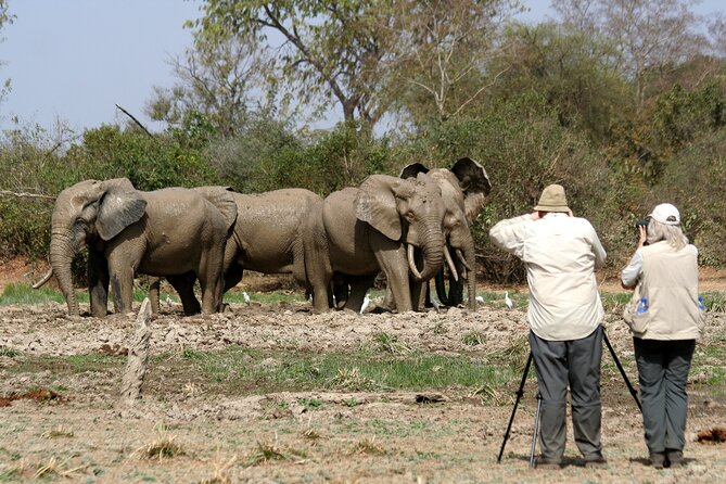 15-Day Ghana Wildlife Private Tour - Ankasa means remote forest and long nights