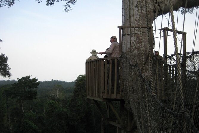 15-Day Ghana Wildlife Private Tour - A conservation stop near New Edubiase
