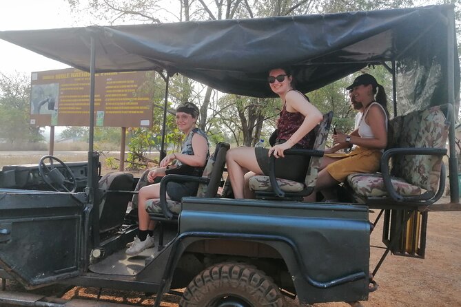 2 Days (1 night) Elephants Safari at Mole Park with Round - trip flights - The 3 p.m. jeep safari and the search for elephants
