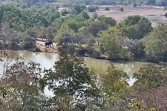 2 Days (1 night) Elephants Safari at Mole Park with Round - trip flights - Flying from Accra to Tamale at 6 a.m.