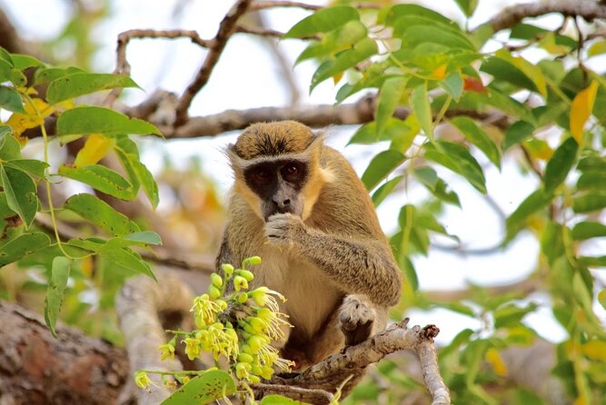 2Days private explore volta region - Leaving Accra for Akosombo and Lake Volta