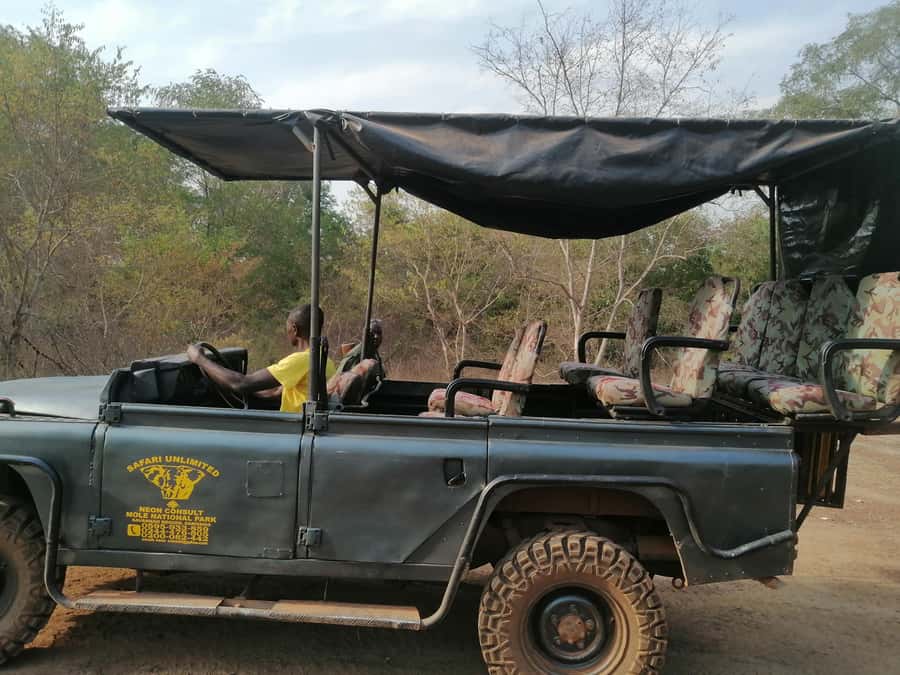 3 Days Elephant Safari at Mole Park with round trip flights - Watching shea butter take shape