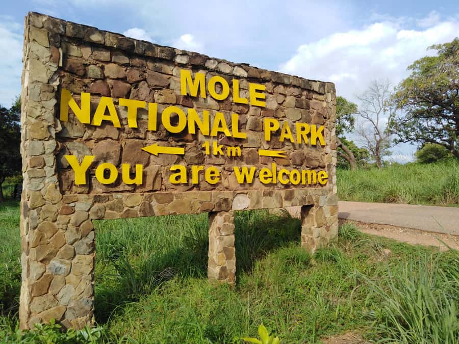 3 Days Elephant Safari at Mole Park with round trip flights - Who should choose this Mole trip