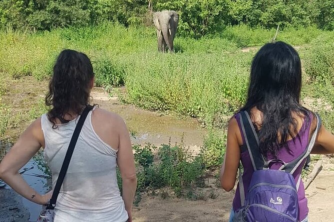 3 Days Elephants Safari at Mole Park with Round - trip flights - Key points at a glance