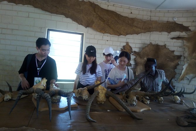5 Days Adventurous Wildlife Safari - Day 1: Flying to Tamale and entering Mole country