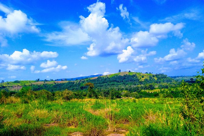A Tour to Boti Falls - The three-headed palm tree and fertility rock