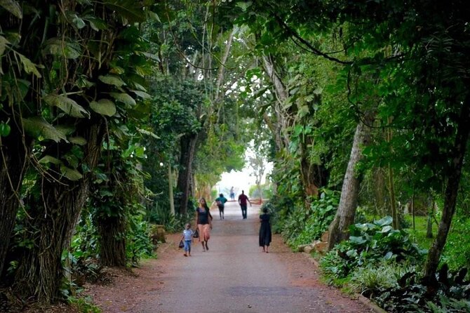 Aburi Botanic Gardens and Boti Falls Full-Day Private Tour - Starting at Accra Mall at 7:00 am