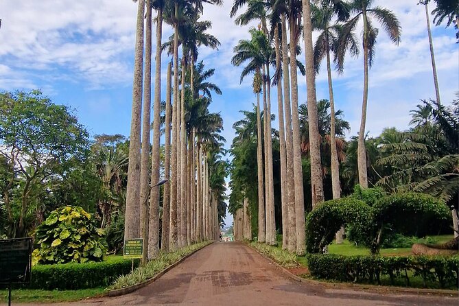 Aburi Botanic Gardens, Boti Falls,Umbrella Rock & Cocoa Farm Tour - Key points at a glance