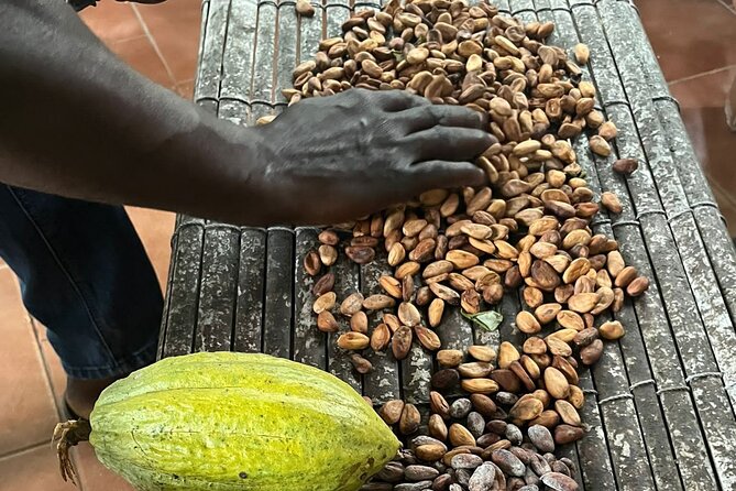 Aburi Botanic Gardens, Boti Falls,Umbrella Rock & Cocoa Farm Tour - Why this makes a good day beyond Accra