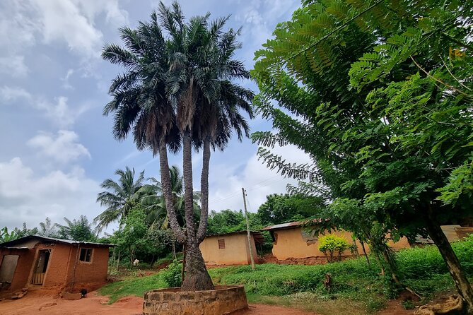Aburi Botanic Gardens, Boti Falls,Umbrella Rock & Cocoa Farm Tour - Starting at Accra Mall at 8:30 am