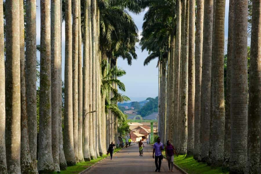 Accra Aburi Eco & Cocoa Experience: Gardens Waterfall &Lunch - Key points to know before you book