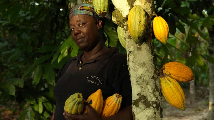 Accra Aburi Eco & Cocoa Experience: Gardens Waterfall &Lunch - Walking under the trees at Aburi Botanical Gardens