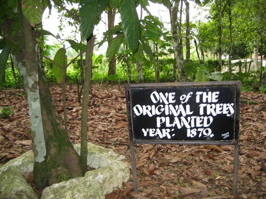 Accra Aburi Eco & Cocoa Experience: Gardens Waterfall &Lunch - Who will enjoy this seven-hour outing?