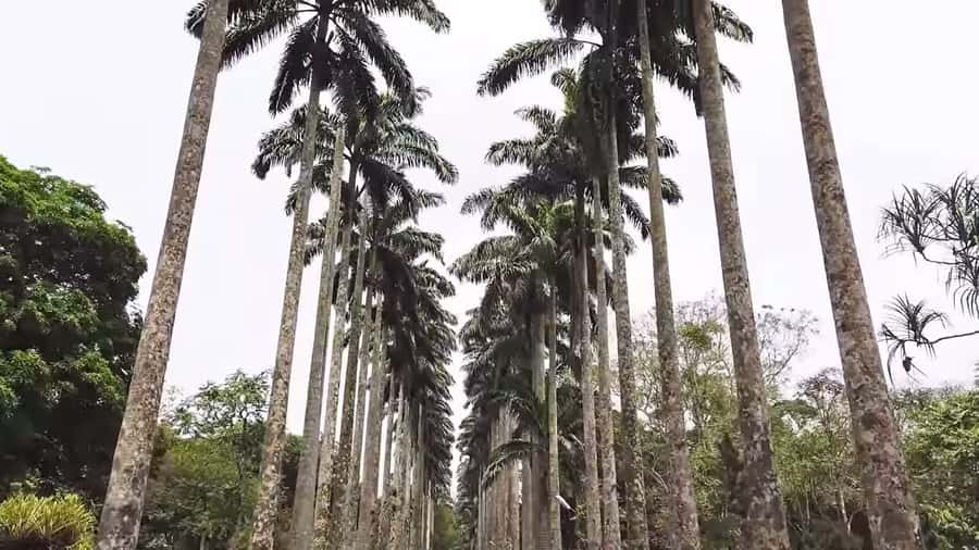 Accra: Eastern Region Waterfalls Tour - Key points to know before booking