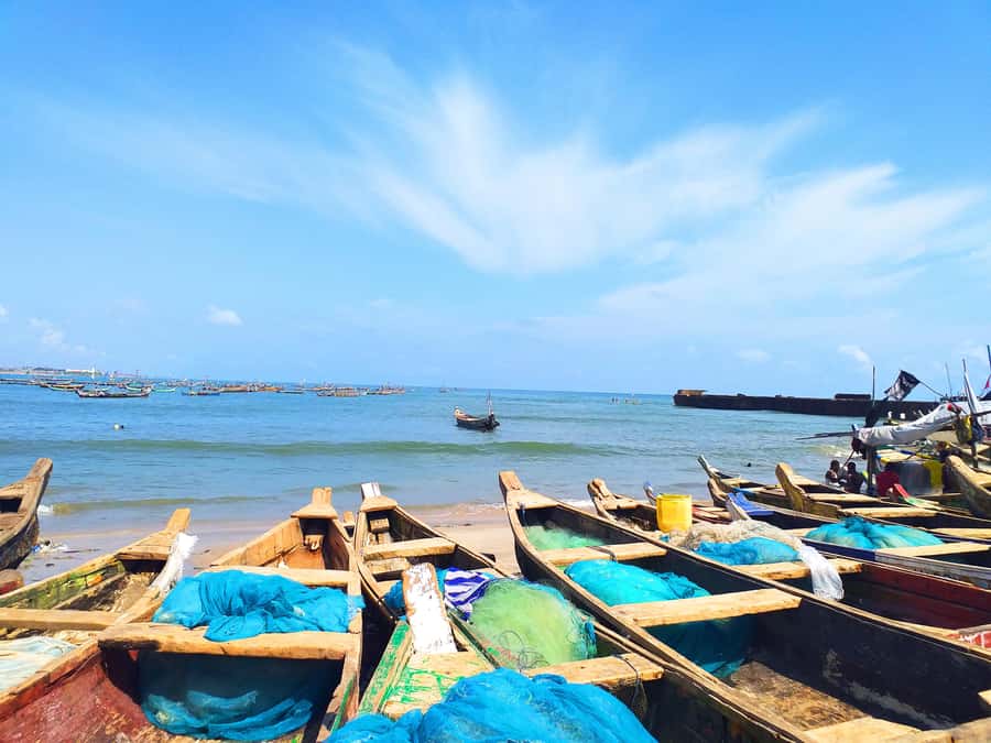 Accra: Guided City Tour with Lunch - Who should book this Accra tour?