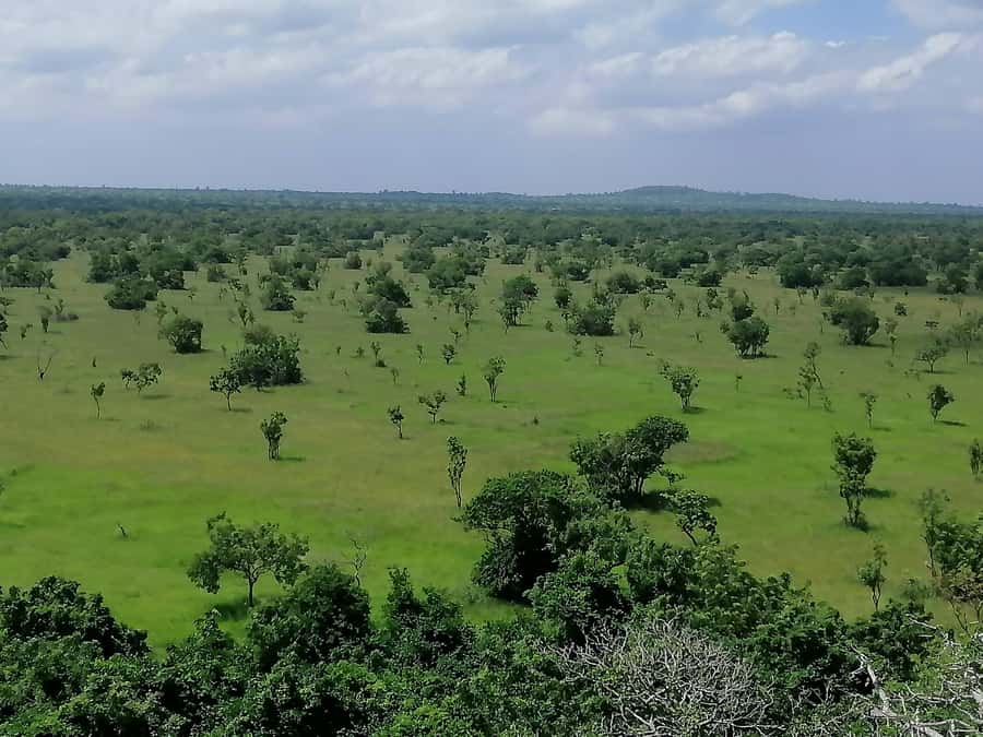 Accra: Half day private safari with pick up - Who will enjoy this half-day outing?