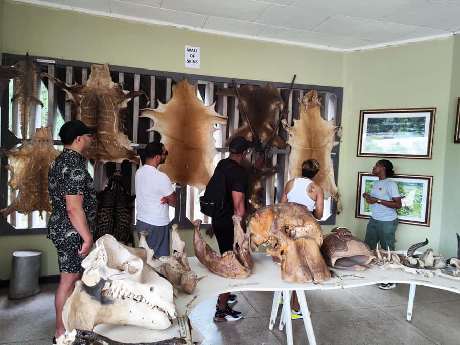 Accra: Half day private safari with pick up - Is $245 per person a fair price?