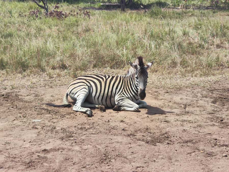 Accra: Half day private safari with pick up - Leaving Accra in a private air-conditioned vehicle