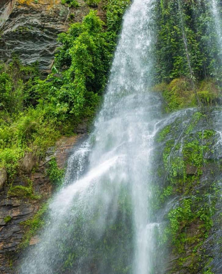 Accra: Tafi Kente Village, Monkey Sanctuary &Wli Waterfalls - Key points to know before booking