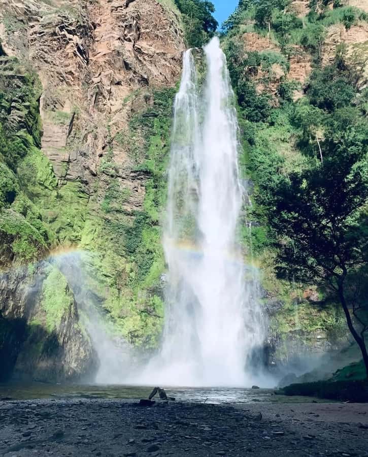Accra: Tafi Kente Village, Monkey Sanctuary &Wli Waterfalls - Who will enjoy this day most?