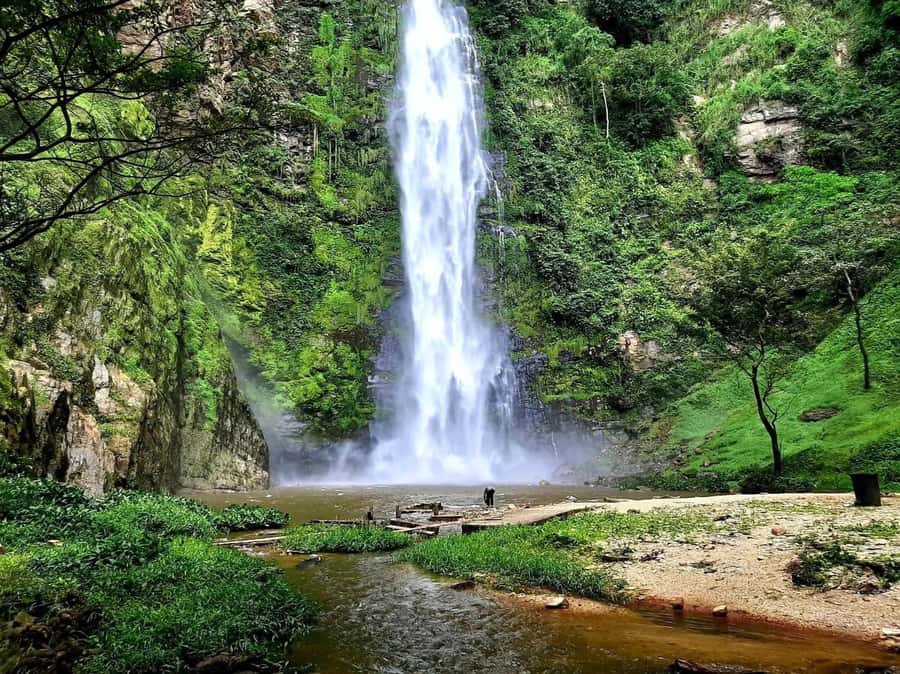 Accra: Tafi Kente Village, Monkey Sanctuary &Wli Waterfalls - Should you book the Tafi Kente, Waterfalls, and Monkey Sanctuary tour?