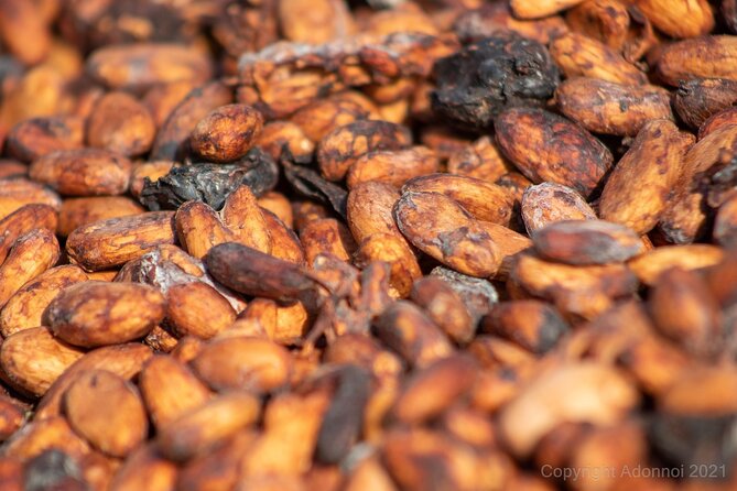 Boti Falls, Umbrella Rock, Aburi Gardens & Cocoa Farm Day Tour - Boti Falls and the River Pawnpawn