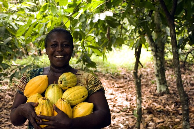 Boti Falls, Umbrella Rock, Aburi Gardens & Cocoa Farm Day Tour - Climbing Umbrella Rock in the Eastern Region