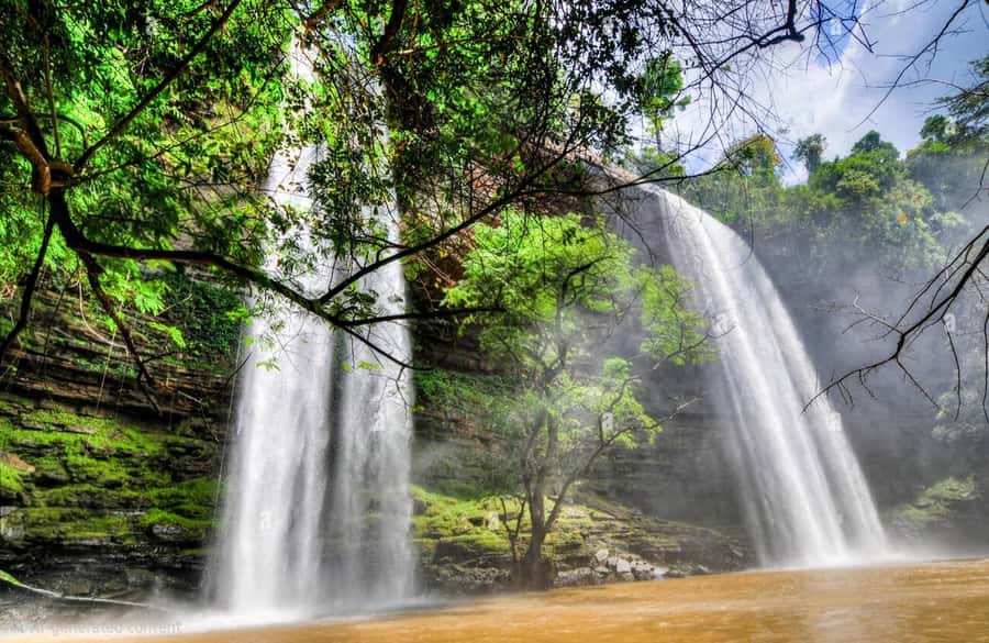 Boti Falls, Umbrella Rock, Aburi Gardens & Cocoa Farm Tour - Tetteh Quarshie Cocoa Farm and the taste of fresh cocoa