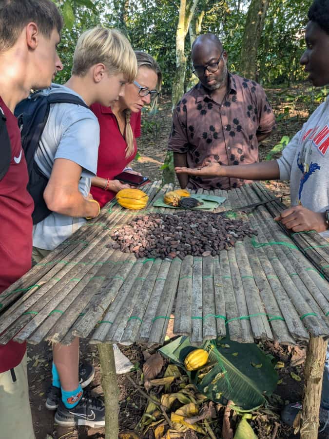 Boti Falls, Umbrella Rock, Aburi Gardens & Cocoa Farm Tour - Who should book this Accra day trip?