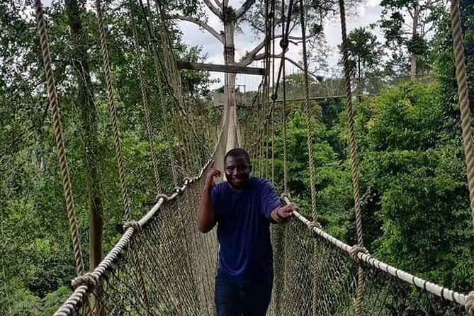 Cape Coast Elmina Kakum Park Private Day Tour - Elmina Castle and Ghana’s coastal trading past