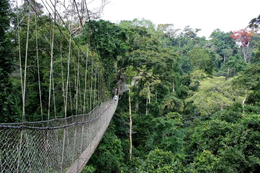 Cape Coast: Kakum National Park, Castles, & Hans Cottage - Key points at a glance