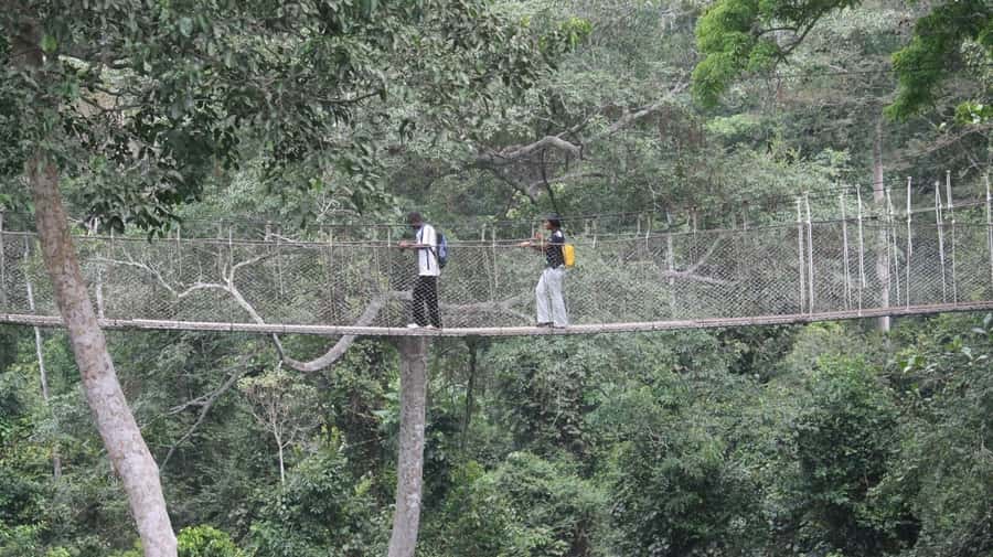 Cape Coast: Kakum National Park, Castles, & Hans Cottage - Why this Accra day trip is worth considering