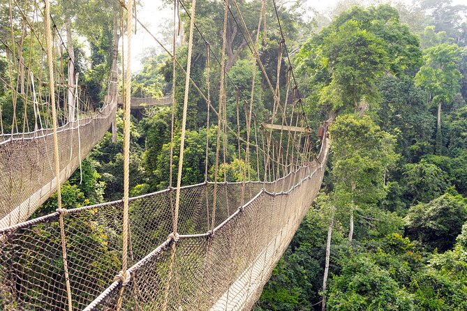 Day Tour to Kakum National Park, Cape Coast and Elmina Castles - Kakum National Park and the choice above the trees