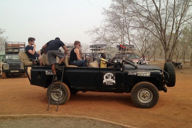 Day Tour To Mole - Why this Mole day trip works from Tamale