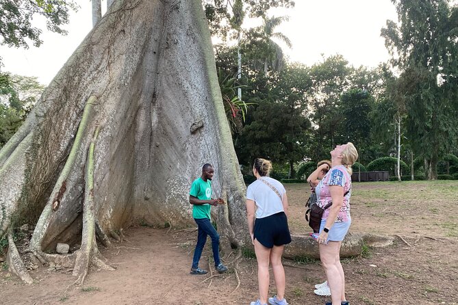 Day Trip Near Accra - Visit Aburi Gardens, Waterfall & Cocoa Farm - Key points at a glance