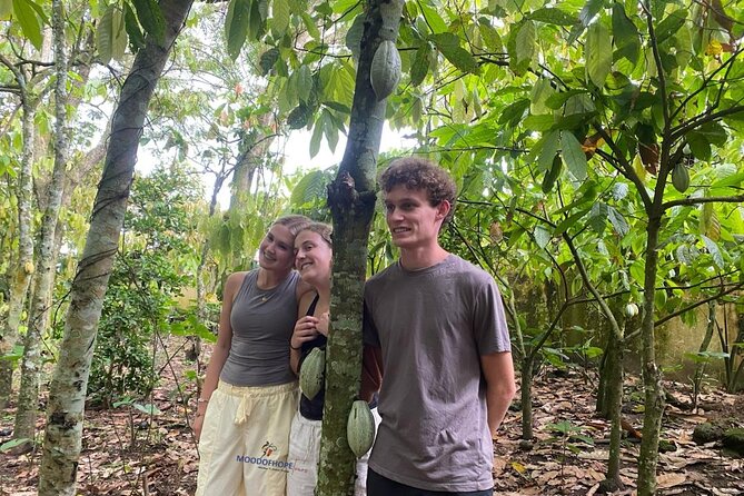 Day Trip Near Accra - Visit Aburi Gardens, Waterfall & Cocoa Farm - Oboadaka Falls: the most active stop