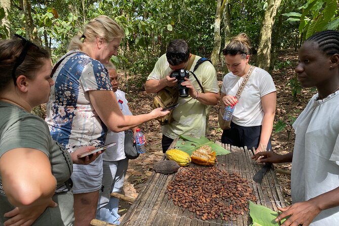 Day Trip Near Accra - Visit Aburi Gardens, Waterfall & Cocoa Farm - Aburi Botanical Gardens: a calm first hour