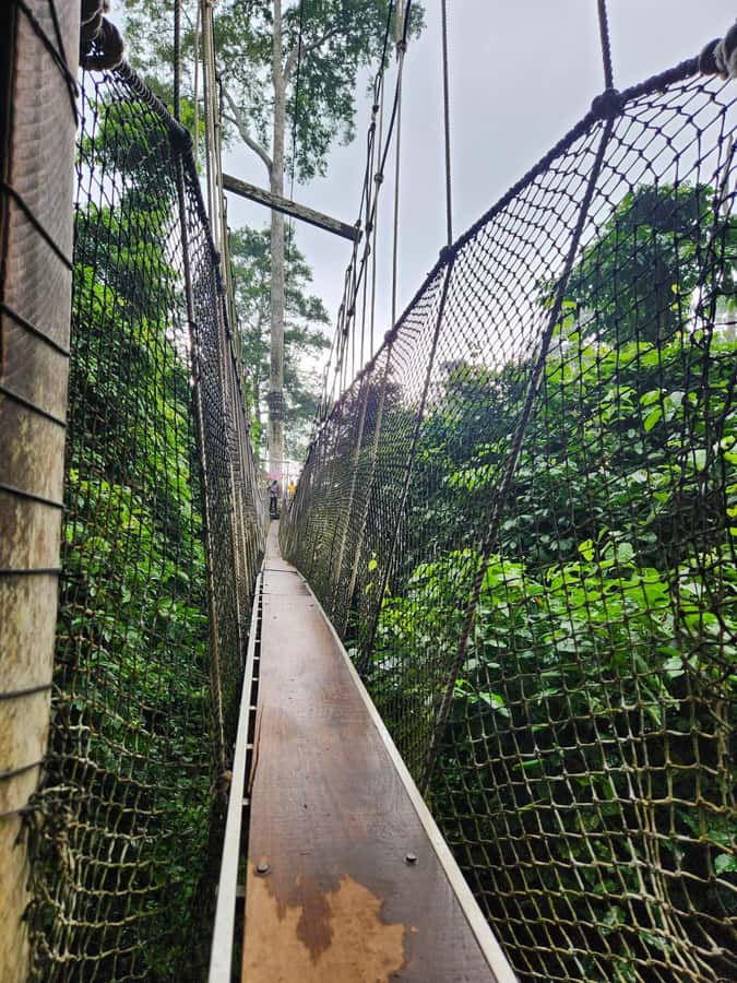 Discover Cape Coast and Elmina Castle with Kakum - Why this Cape Coast day trip works
