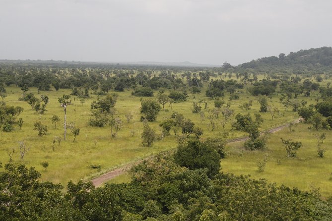 Discover Nature at Shai Hills - What the Shai Hills outing is really like