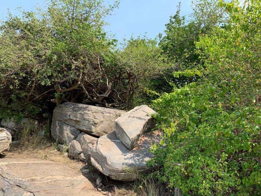 Discover Nature at Shai Hills - Adventure Full Day Trip - Key points to know before you book