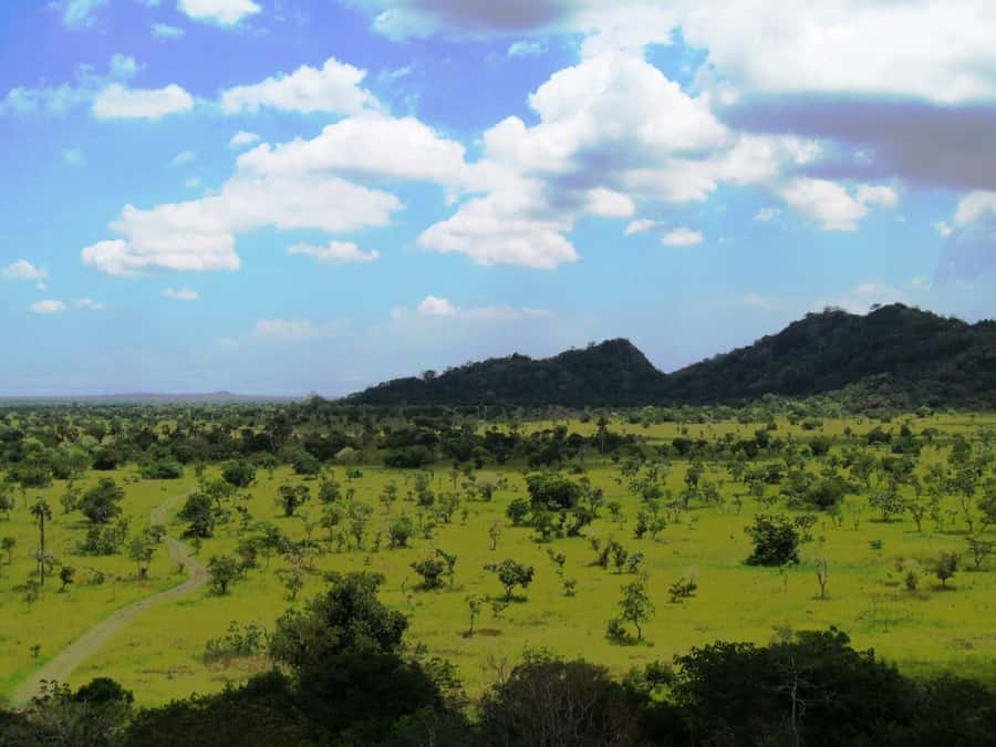 Discover Nature at Shai Hills - Adventure Full Day Trip - Why Shai Hills makes a strong day trip from the city
