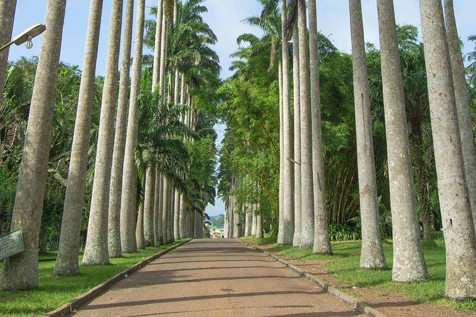 Escape Accra City to Aburi Gardens and Tetteh Quarshie Cocoa Farms - Key points to know before booking