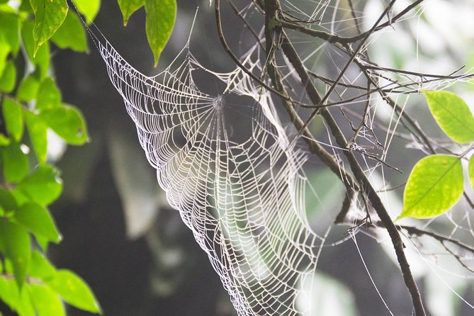 Escape Accra City to Aburi Gardens and Tetteh Quarshie Cocoa Farms - Aburi Crafts Village: a useful stop for some, an easy skip for others