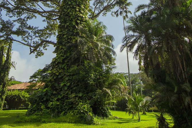 Escape Accra City to Aburi Gardens and Tetteh Quarshie Cocoa Farms - What the private format adds to a $170 tour