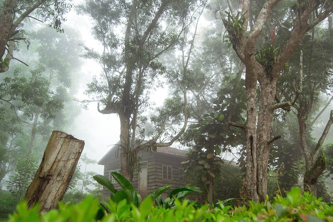 Escape Accra City to Aburi Gardens and Tetteh Quarshie Cocoa Farms - Guides, timing, and the small details that matter