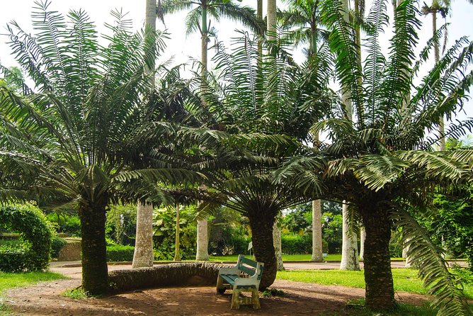 Escape Accra City to Aburi Gardens and Tetteh Quarshie Cocoa Farms - Who will enjoy this Accra day trip most
