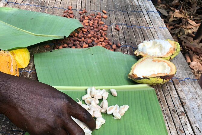 Experience Boti Waterfalls, Aburi Botanical Gardens & Tetteh Quarshie Cocoa Farm - Why Boti Waterfalls is the tour’s centerpiece