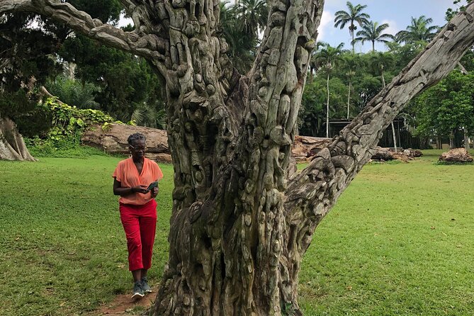 Experience Boti Waterfalls, Aburi Botanical Gardens & Tetteh Quarshie Cocoa Farm - A private day with guides who stay involved