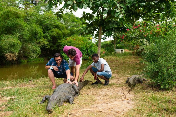 Experience Cape Coast Castle and Kakum National Park - Why this Cape Coast day trip works
